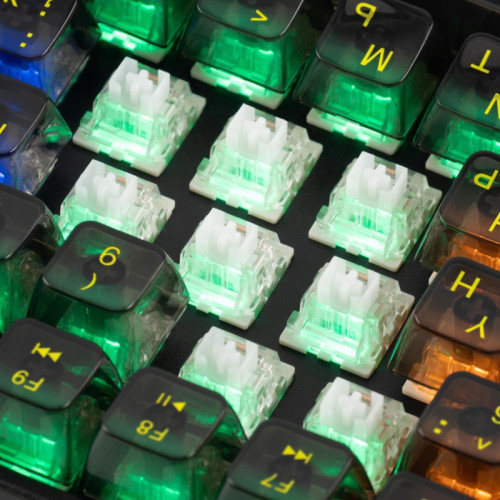 Клавиатура Oklick 915GK механическая черный USB for gamer (1790371) Клавиатура Oklick 915GK механическая черный USB for gamer (1790371)