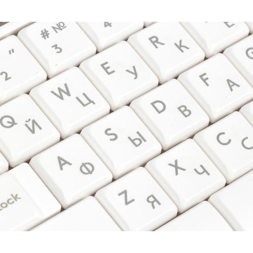 Клавиатура A4Tech Fstyler FK10 белый/серый USB (FK10 WHITE)