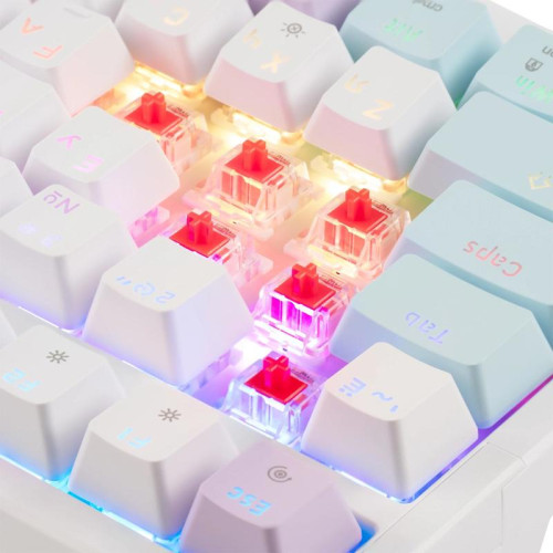 Клавиатура Acer OKW304 механическая белый USB Multimedia for gamer LED (ZL.KBDCC.01V)