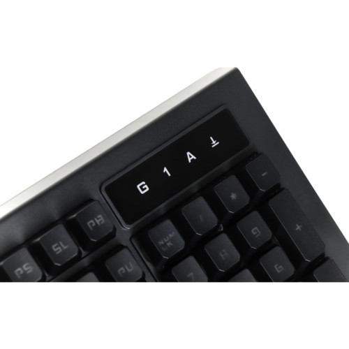 Клавиатура A4Tech Bloody B120N черный USB Multimedia for gamer LED (подставка для запястий) (B120N)