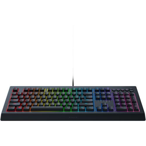 Игровая клавиатура Razer Cynosa V2/ Razer Cynosa V2 Gaming keyboard  - Russian Layout