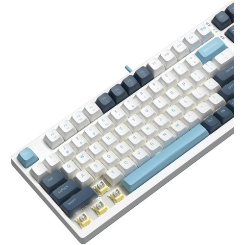 Клавиатура A4Tech Fstyler FS300 механическая белый/синий USB for gamer LED (FS300 PANDA SNOWBOARDING)