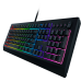 Игровая клавиатура Razer Cynosa V2/ Razer Cynosa V2 Gaming keyboard  - Russian Layout