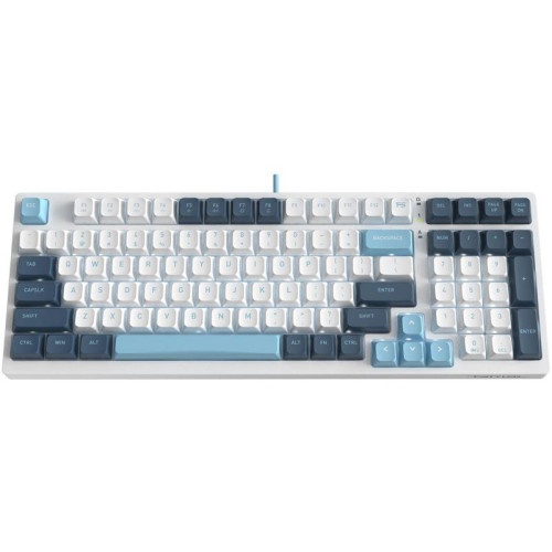 Клавиатура A4Tech Fstyler FS300 механическая белый/синий USB for gamer LED (FS300 PANDA SNOWBOARDING)
