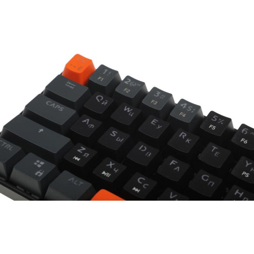 Клавиатура DEFENDER USB APEX GK-002 RU 45003