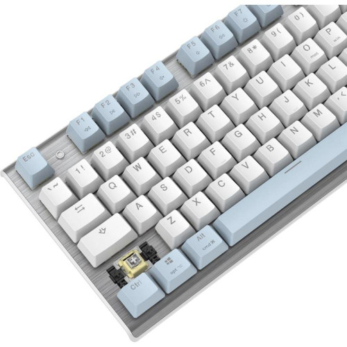 Клавиатура A4Tech Fstyler FS100 Neon механическая синий/белый USB for gamer LED (FS100)