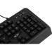 Клавиатура Acer OKW300 черный USB Multimedia for gamer LED (ZL.KBDCC.019)
