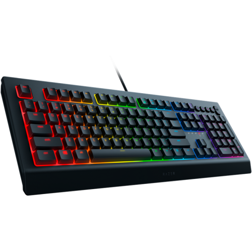 Игровая клавиатура Razer Cynosa V2/ Razer Cynosa V2 Gaming keyboard  - Russian Layout