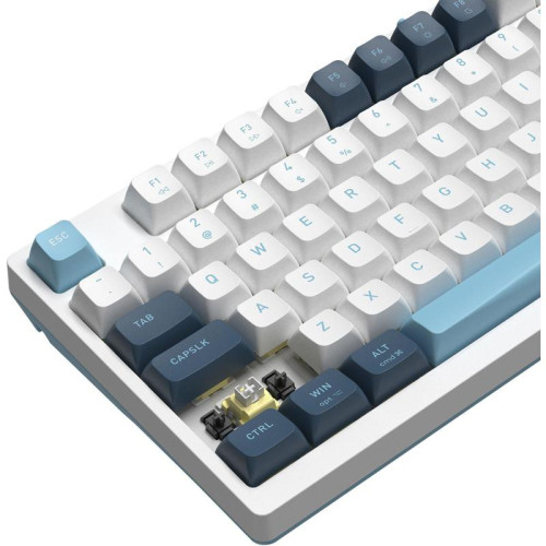 Клавиатура A4Tech Fstyler FS300 механическая белый/синий USB for gamer LED (FS300 PANDA SNOWBOARDING)