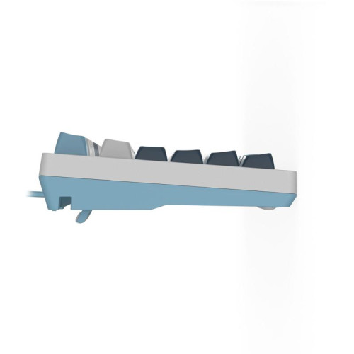 Клавиатура A4Tech Fstyler FS300 механическая белый/синий USB for gamer LED (FS300 PANDA SNOWBOARDING)