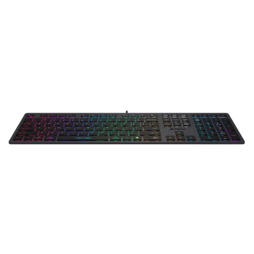 Клавиатура A4Tech Fstyler FX60 серый USB slim LED (FX60 GREY / NEON)