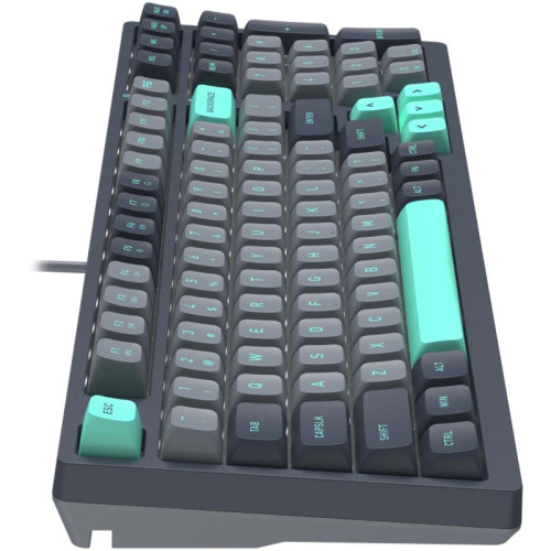 Клавиатура A4Tech Fstyler FS300 механическая черный/серый USB for gamer LED (FS300 PANDA ROCK)