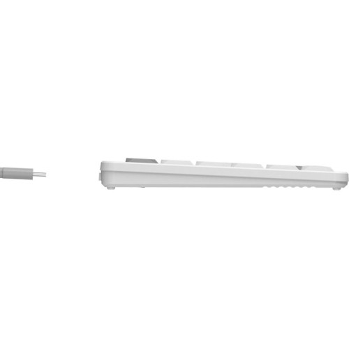 Клавиатура A4Tech Fstyler FBX55C белый USB беспроводная BT/Radio slim Multimedia (FBX55C)