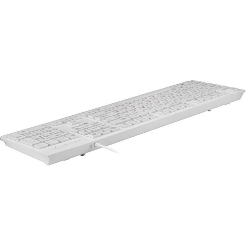 Клавиатура Oklick 505M белый USB slim