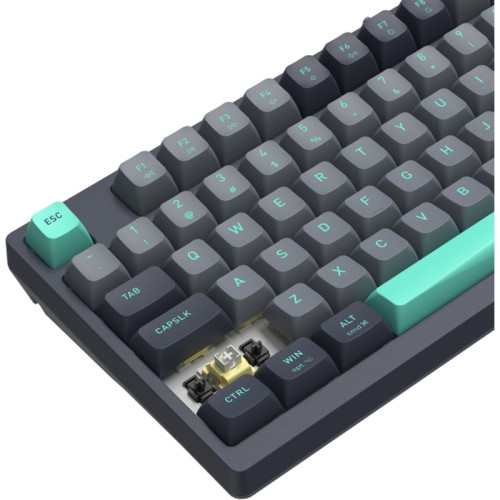 Клавиатура A4Tech Fstyler FS300 механическая черный/серый USB for gamer LED (FS300 PANDA ROCK)