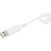 Клавиатура A4Tech Fstyler FKS10 белый/серый USB (FKS10 WHITE) Клавиатура A4Tech Fstyler FKS10 белый/серый USB (FKS10 WHITE)