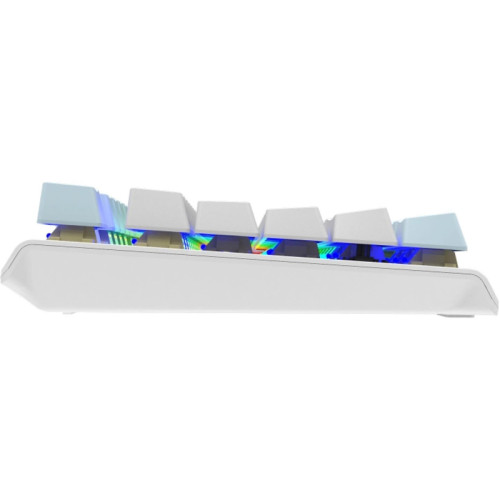 Клавиатура A4Tech Fstyler FS100 Neon механическая синий/белый USB for gamer LED (FS100) Клавиатура A4Tech Fstyler FS100 Neon механическая синий/белый USB for gamer LED (FS100)