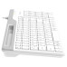 Клавиатура A4Tech Fstyler FK25 белый/серый USB slim Клавиатура A4Tech Fstyler FK25 белый/серый USB slim