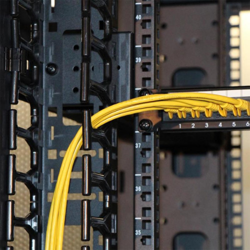 Кабельный органайзер вертикальный Lanmaster TWT-CBB-DVO-42U/M односторонний пальцы 42U шир.:19