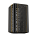 Корпус ПК без блока питания/ Case Geometric Future Model 2 The Ark, Mini-Tower, no fans, 3xUSB-A 3.0, 1xUSB 3.2 Type-C, mATX, mITX Black/Gold