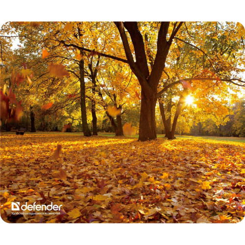 Defender Коврик для компьютерной мыши Silk Pad Nature 230x190x1.6 мм, 10 видов Defender Коврик для компьютерной мыши Silk Pad Nature 230x190x1.6 мм, 10 видов