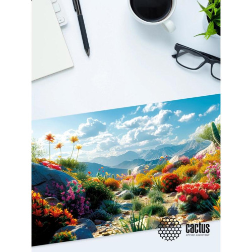 Коврик для мыши Cactus Desert landscape 900x400x3мм (CS-MP-PRO15XXL)