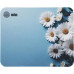 Коврик для мыши Cactus Daisies рисунок 250x200x3мм (CS-MP-D07S)
