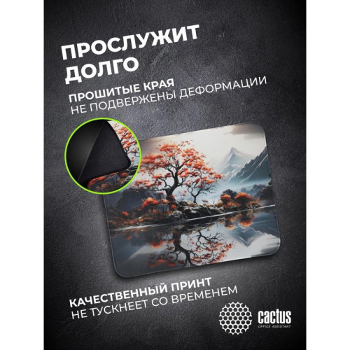 Коврик для мыши Cactus Lake рисунок 400x300x3мм (CS-MP-PRO18XL)