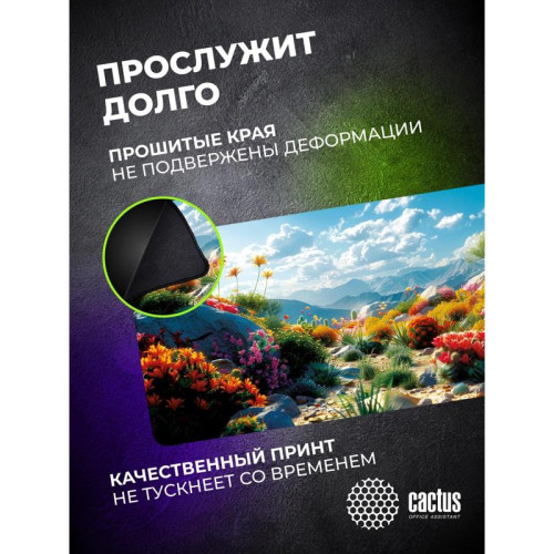 Коврик для мыши Cactus Desert landscape 900x400x3мм (CS-MP-PRO15XXL)