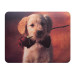 Коврик для мыши Buro BU-M40089 Мини рисунок/щенок 230x180x2мм Коврик для мыши Buro BU-M40089 Мини рисунок/щенок 230x180x2мм