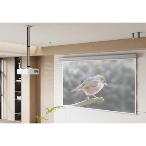 Кронштейн для проектора Cactus CS-VM-PR05L-AL серебристый макс.10кг потолочный поворот и наклон