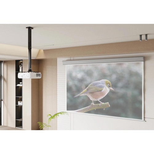 Кронштейн для проектора Cactus CS-VM-PR05L-BK черный макс.10кг потолочный поворот и наклон