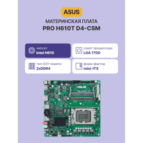 Материнская плата/ PRO H610T D4-CSM