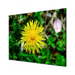 LCD-экран HIKVISION DS-D2055LE-G