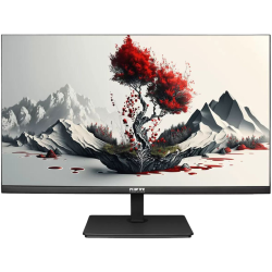 Монитор RDW2401K 1920x1080(FHD) IPS 100Hz 5мс 178°/178 300cd 1000:1 VGA HDMI DP наклон, внутр.БП, Динамики, черный,  VESA 100*100, реестр МПТ/ 1 год гарантия