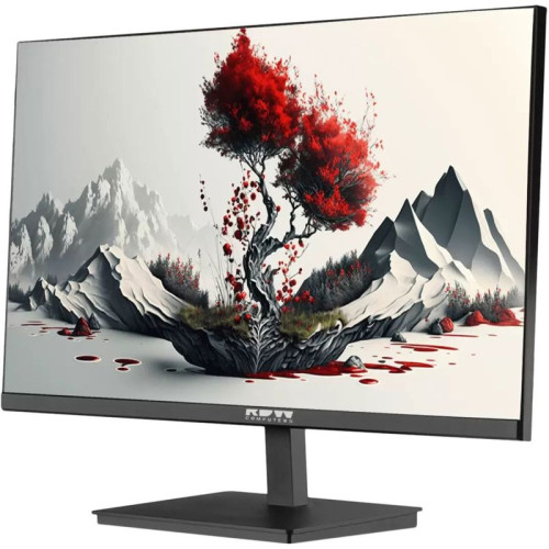 Монитор RDW2401K 1920x1080(FHD) IPS 100Hz 5мс 178°/178 300cd 1000:1 VGA HDMI DP наклон, внутр.БП, Динамики, черный,  VESA 100*100, реестр МПТ/ 1 год гарантия