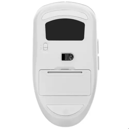 MSI PRO AP242P 14M-684XRU   23.8