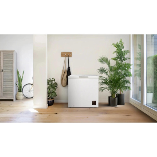 Морозильный ларь Gorenje FHC2516W5 белый 150Вт