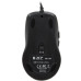 Мышь A4Tech X-718BK черный оптическая 3000dpi USB 6but (X-718BK USB)