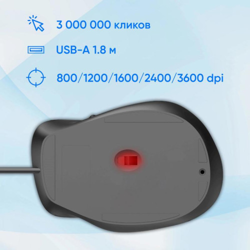 Мышь Oklick 504M черный/серый оптическая 3600dpi silent USB 6but (2004741)