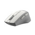 Мышь A4Tech Fstyler FG30 белый/серый оптическая 2000dpi беспров. USB 6but (FG30 WHITE) Мышь A4Tech Fstyler FG30 белый/серый оптическая 2000dpi беспров. USB 6but (FG30 WHITE)