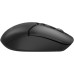 Мышь A4Tech Fstyler FG12S черный оптическая 1200dpi silent беспров. USB 3but (FG12S BLACK) Мышь A4Tech Fstyler FG12S черный оптическая 1200dpi silent беспров. USB 3but (FG12S BLACK)