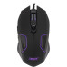 Мышь Acer OMW170 черный оптическая 3200dpi USB 6but (ZL.MCEEE.00R)