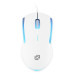 Мышь Oklick 245M белый оптическая 1000dpi USB 3but (471480) Мышь Oklick 245M белый оптическая 1000dpi USB 3but (471480)