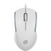Мышь Oklick 245M белый оптическая 1000dpi USB 3but (471480) Мышь Oklick 245M белый оптическая 1000dpi USB 3but (471480)