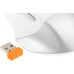 Мышь A4Tech Fstyler FB35C белый оптическая 2000dpi беспров. BT/Radio USB 6but (FB35C ICY WHITE)