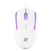 Мышь Oklick 245M белый оптическая 1000dpi USB 3but (471480) Мышь Oklick 245M белый оптическая 1000dpi USB 3but (471480)