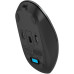 Мышь A4Tech Fstyler FG16C Air2 серый оптическая 2000dpi беспров. USB для ноутбука 3but (FG16C AIR2 GREY) Мышь A4Tech Fstyler FG16C Air2 серый оптическая 2000dpi беспров. USB для ноутбука 3but (FG16C AIR2 GREY)
