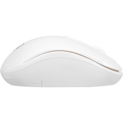 Мышь Oklick 505MW белый оптическая 1000dpi беспров. USB для ноутбука 3but (1018257)