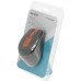 Мышь A4Tech Fstyler FG30S серый/оранжевый оптическая 2000dpi silent беспров. USB 6but (FG30S ORANGE) Мышь A4Tech Fstyler FG30S серый/оранжевый оптическая 2000dpi silent беспров. USB 6but (FG30S ORANGE)
